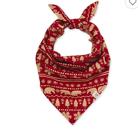 Burt's Bees® Berry Special Fair Isle Dog Bandana in Snowflake